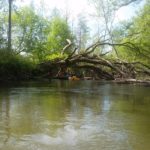 Big Creek Canoe